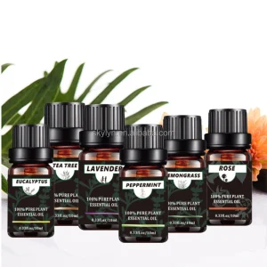 100% Private Label Pure Natural Daily Flavor 5mlX20pcs Essential Oil Set