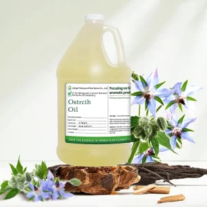 100% Pure Borage Seed Oil Cosmetics Hair and Skin Cold Pressed Borage Carrier Oil Cas 84012 16 8 Factory Supplier