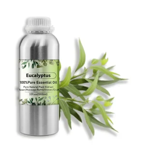 100% Pure Eucalyptus Essential Oil Cold Pressed 10ml Bottle Natural Aromatherapy & Massage Oil OEM Supply Leaf Ingredients