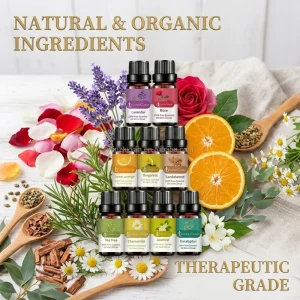 100% Pure Plant Essential Oils 10ml Organic Aromatherapy Oil for Diffuser Humidifier Private Label OEM Fragrance Oil