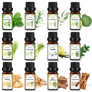 10ml Natural Plant Single Essential Oil Aromatherapy Oil for Body Massage Diffuser Skin Care