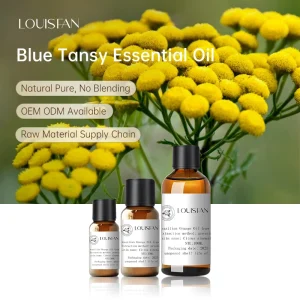 Blue Tansy Essential Oil 10ml Distilled 100% Pure Natural Organic Top Grade Aromatherapy Skincare & Beauty