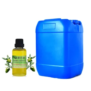 Bulk Jojoba Oil Seeds 100% Pure Natural Fresh Aromatic Massage Carrier Oil for Hair and Scalp Treatment