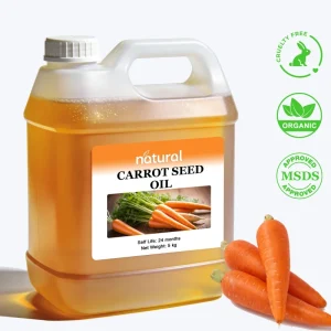 Bulk Organic 100% Pure Natural Carrot Seed Oil Carrier Oil for Massage Oil Skin Care Hair Care Lip Nail Care