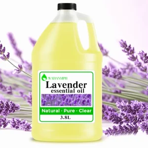Bulk Price Organic Natural 100% Pure Lavender Essential Oil for Cosmetic Grade