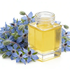 Carrier Oil Factory Supply Cold Press Borage Seed Oil 100% Pure Borage Oil for Skin Face Care
