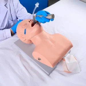 Chinon J5S Adult Intubation Training Model Medical Science Simulator with Oral/Nasal Insertion Support