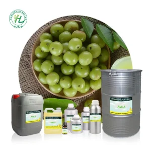 Cold Pressed Amla Seed Oil Bulk Supplier 1kg Indian Gooseberry Infused Carrier Oil Long Hair Oil for Hair Growth