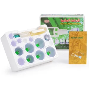 Different Size Vacuum Cupping Set hijama Cupping Kit set for Beauty 12 Plastic Transparent ABS English 6 Magnetic Needles