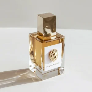 Empty 100ml Luxury Flat Square Fragrance Black Parfum Sprayer Perfume Glass Thick Bottom Bottle with Square Gold Cap