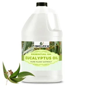 Eucalyptus Essential Oil for Diffuser Massage Soap Making Steam Distilled 100% Natural Factory Price OEM