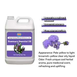 Factory 100% Pure Rosemary Essential Oil Sweet & Fresh Steam Distilled for Aromatherapy Hair Growth Body Massage