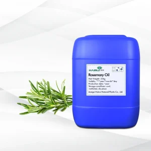 Factory Bulk Free Sample Rosemary Essential Oil Private Label Natural Organic Undiluted Rosemary Oil for Hair Care