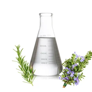 Factory Natural Rosemary Essential Oil Manufacturer Anti Acne Pore Minimizing Oil Raw Material for Skin Care Cosmetics