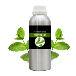 Factory Priced Premium Quality 100ML Natural Camphor Essential Oil Pure Baicao Herbal Scent Floral for All Skin Types CN JIN