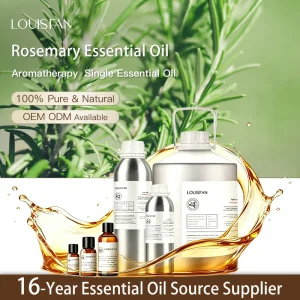High Quality 100%Pure Organic Distilled Morocco Rosemary Essential Oil for Hair Growth Body Diffuser Massagem Oils Materials