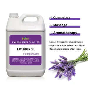 High Quality Factory Price Natural Essential Oil for Massage Body Skin Cosmetic Scented Lavender Essential Oil Lavender Oil Bulk