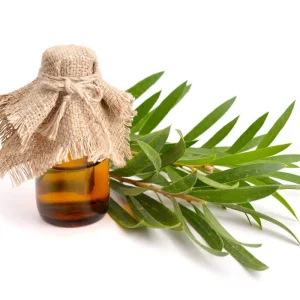 In Stock Professional Supplier Premium Organic Aromatherapy Pure Essential Oil Tea Tree Oil for Skin Care