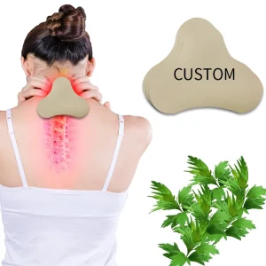 Lijitang Wormwood Herbal Plaster Patches Neck Pain Relief Cervical Vertebra Warming Heat Patches Rehabilitation Therapy Supplies