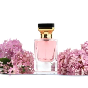 Luxury Fragrance 30ml 50ml 100ml Transparent Pump Spray Glass Square Atomizer Perfume Bottle