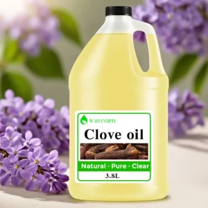 Manufacturer Organic Clove Oil Pure Natural Essential Clove Oil for Hair Tooth