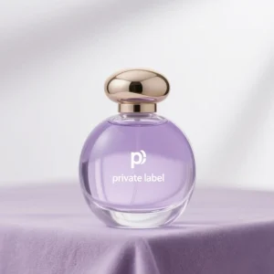 Manufacturer Private Label OEM Custom Oil Fragrance Regular Size Floral Scent MIST Spray Long Women’s Perfume
