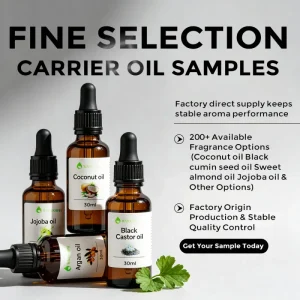 Natural Carrier Oil Samples for Professional Blending Light Texture Odorless Clear Appearance High Stability Versatile Use