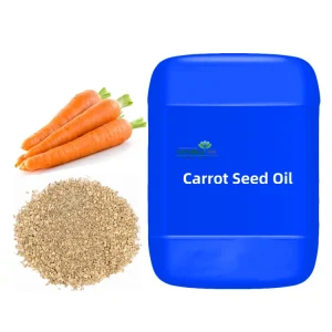 Natural Cold Pressed Carrot Seed Carrier Oil for Skin Brightening Moisturizing Firming