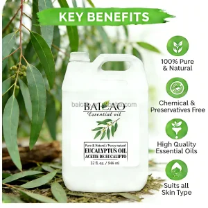 Natural Essential Oil Manufactory Eucalyptus Oil 1kg