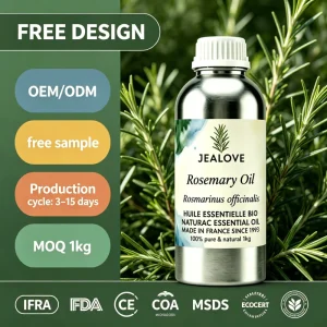 Natural Steam Distilled Rosemary Essential Oil with Diffuser Aroma Massage Body Skin Refreshing Bulk Supply Export Quality