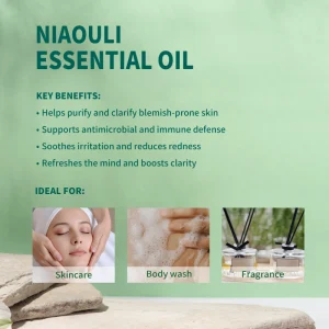 Niaouli Essential Oil 100% Pure Steam Distilled for Natural Skincare Aromatherapy Promotes Wound Healing Immune Support All