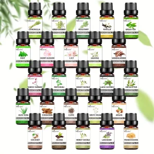 ODM OEM Essential Oil for Diffuser 100% Pure Natural Eucalyptus Plant Extract Fresh Aromatherapy Oil Therapeutic Grade 10ML