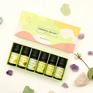 OEM 10ML Essential Oil Gift Set Rosemary Lavender Eucalyptus Tea Tree Essential Oil 100% Pure for Skin Care