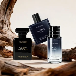 OEM ODM Brand 50ml 100ml Men’s Perfume Original Cologne Body Spray Mist Long Lasting Woody Scent Perfumes Manufacturer
