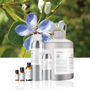 Organic Distilled High Quality Pure Essential Oil Aromatherapy Skincare Raw Material Paraguay-Guaiacwood Essential Oil