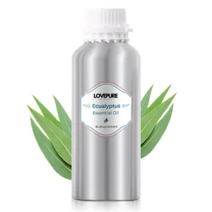 Private Label Bulk 100% Pure Natural and Organic Aromatherapy Aroma Diffuser Eucalyptus Essential Oil