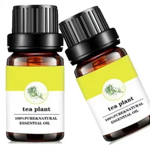 Pure Tea Tree Essential Oil Private Label Organic Natural Oil for Face Hair Skin Premium Grade for Diffuser