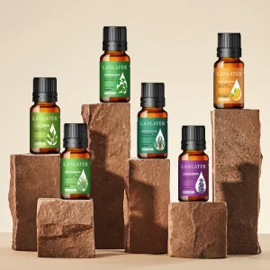 Raw Material Supplier Essential Oil Set Deep Relaxation Organic Rosemary Pure Essential Oil