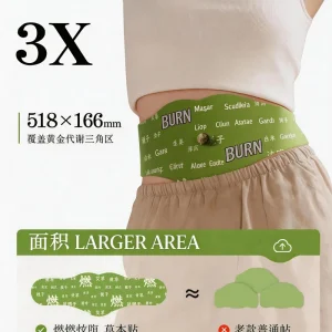 Ready in Stock Fast Dispatch Goods 5pcs Per Bag Natural Mugwort Herbal Body Care Acupoints Belly Heating Patch CE Certified