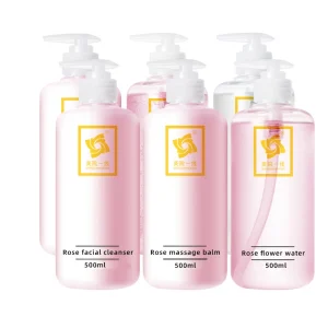 Skin Care Set 6 piece Kit Facial Cleanser Foam Water Toner Clay Mask Serum Cream Rose Skin Care Set Private Label