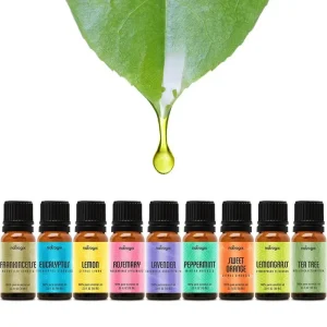 Top 6 100% Pure Essential Oils Gift Set Certified Household Diffuser Humidifier Massage Aromatherapy Face & Body Hair Care 10ml