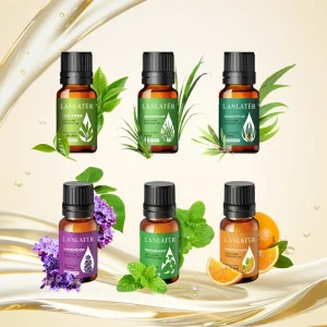 Ultra high Process Manufacturing 100% Pure Essential Oil Create Relaxing Atmosphere Essential Oil