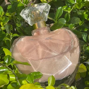 Vegan High Powder Body Oil Shiny Long-lasting Body Spray for Party Body Shimmer Oil