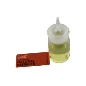 Zucchini Seed Oil 100% Pure and Natural Carrier Oil Unrefined Cold Pressed Cooking Face Hair Body & Skin Care